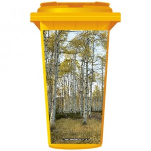 Birch Trees in A Forest Wheelie Bin Sticker Panel